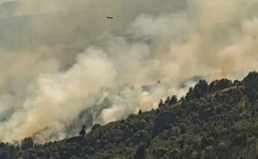 Incendios en Patagonia: el gobierno de Milei busca derogar restricciones de la Ley de Manejo del Fuego en medio de crisis