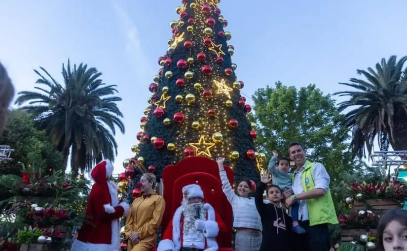 El árbol de Navidad: tradición familiar y cultural