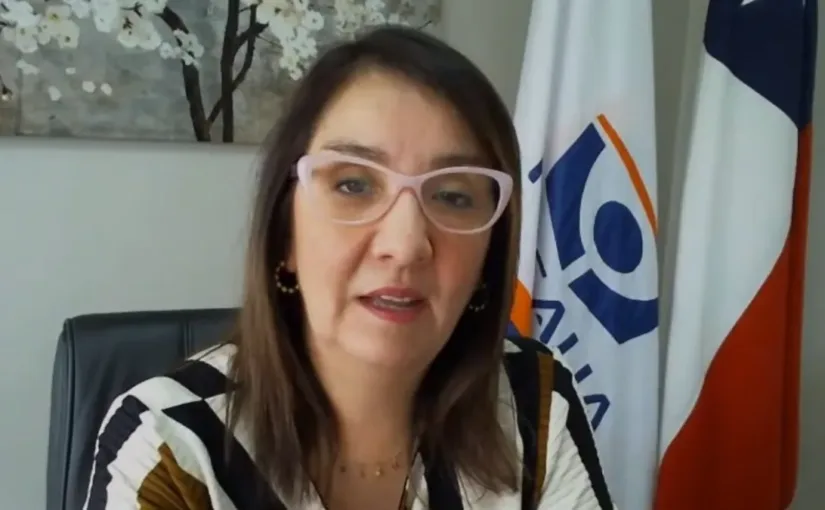 La fiscal Nayalet Mansilla descarta intencionalidad en incendios en Ñuble.