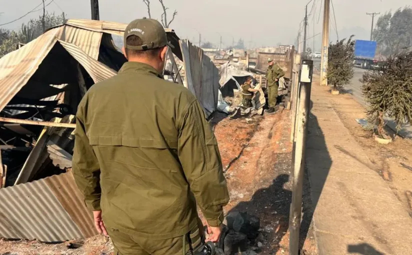 Tragedia en Bío Bío: hombre de 50 años se convierte en la primera víctima fatal de incendios forestales en Punta de Parra