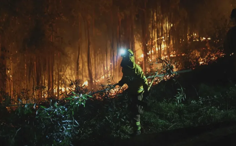 PDI detiene a hombre de 39 años por su presunta responsabilidad en incendio forestal que dejó más de 20 muertos en Biobío