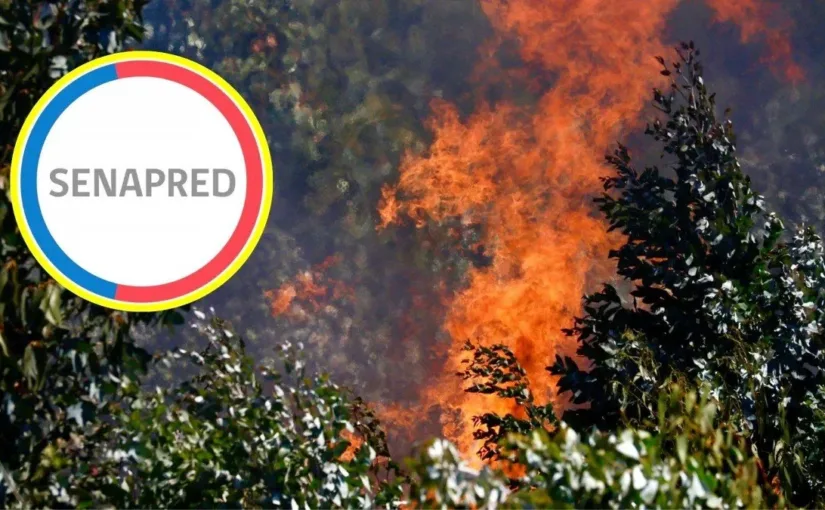 Evacuación urgente en Biobío por incendio forestal activo: Senapred activa mensajería SAE en Rinconada Villa las Estrellas