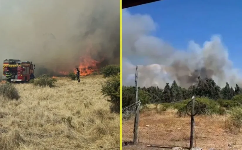 Alerta Roja en Talca y San Nicolás por incendios forestales: medidas de emergencia activadas para controlar la situación