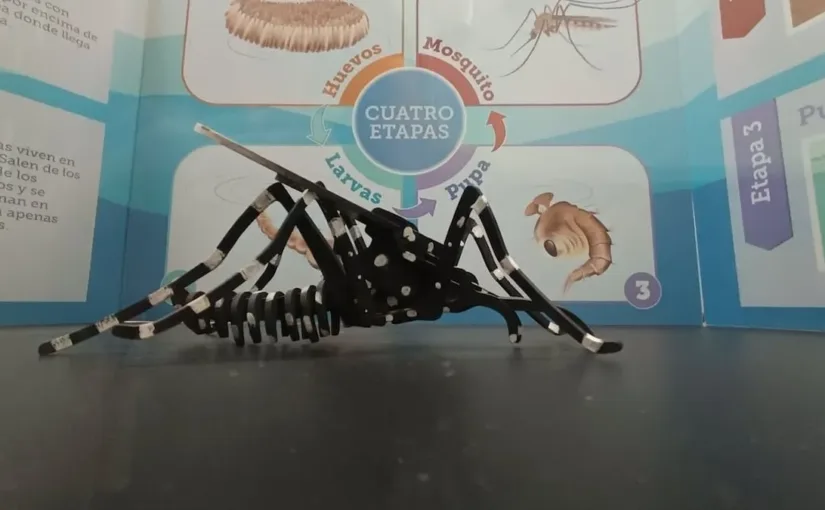 El Minsal activa protocolos tras detectar Aedes aegypti en el Aeropuerto de Santiago.