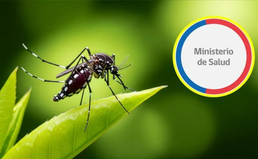 El Ministerio de Salud activa protocolos tras detectar Aedes aegypti en el aeropuerto.