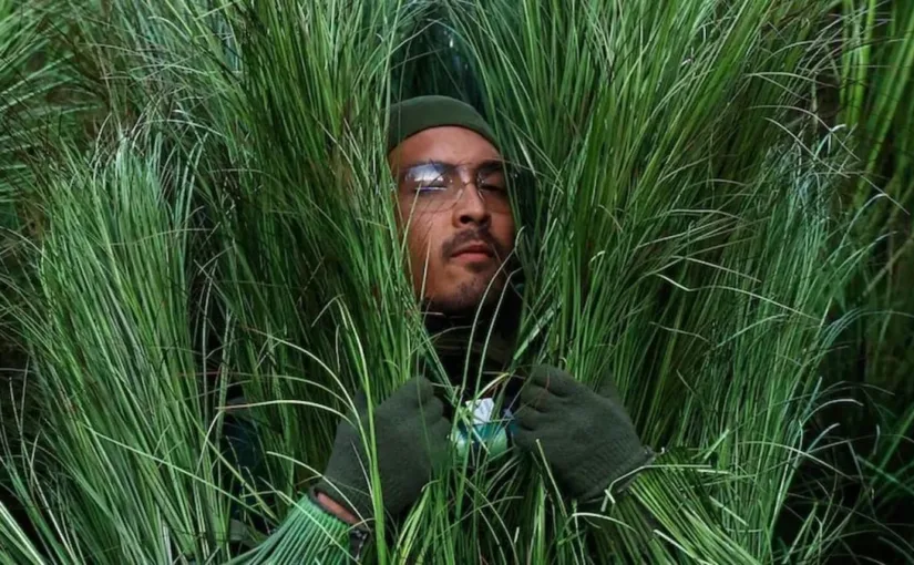 Disfraz de arbusto de Bad Bunny en el Super Bowl LX 2026