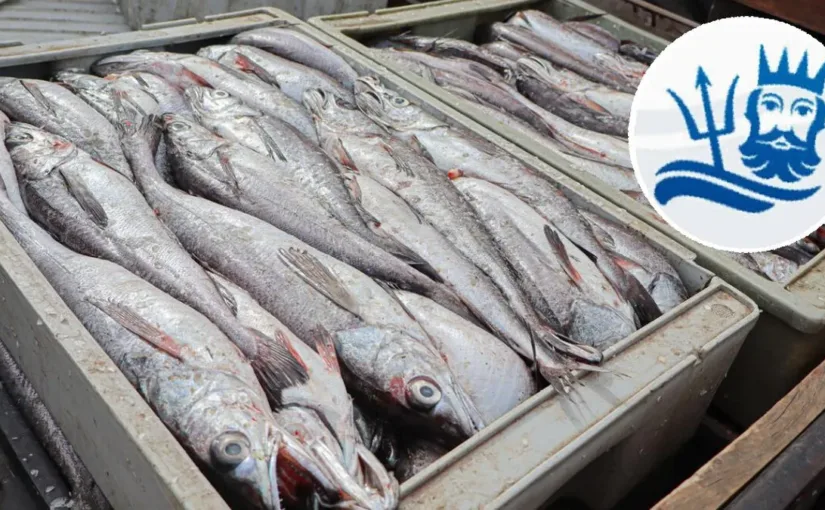 Camanchaca exige $90 mil millones al Estado de Chile por daños tras cambios en el régimen de fraccionamiento pesquero