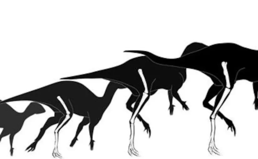 El Foskeia pelendonum: un hallazgo que redefine la evolución de los dinosaurios.