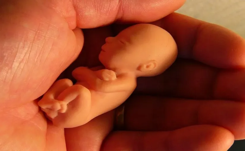 El juez suspende normativas sobre el aborto en Arizona tras nueva modificación constitucional.