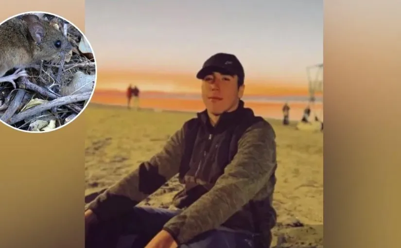 Salud investiga caso de Hantavirus en Penco y llama a la calma tras fallecimiento de joven de 22 años