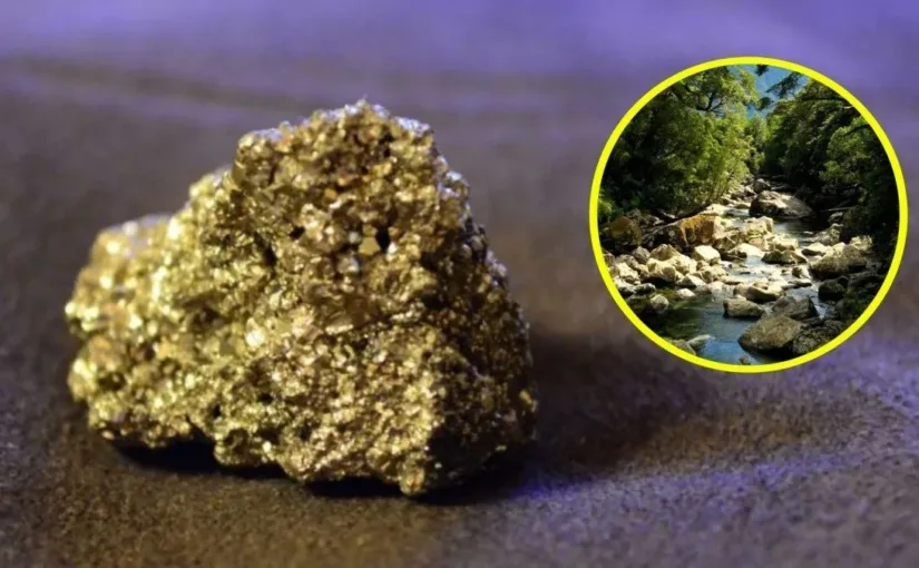 Tai Song busca invertir en minería de oro en la sagrada Madre de Dios